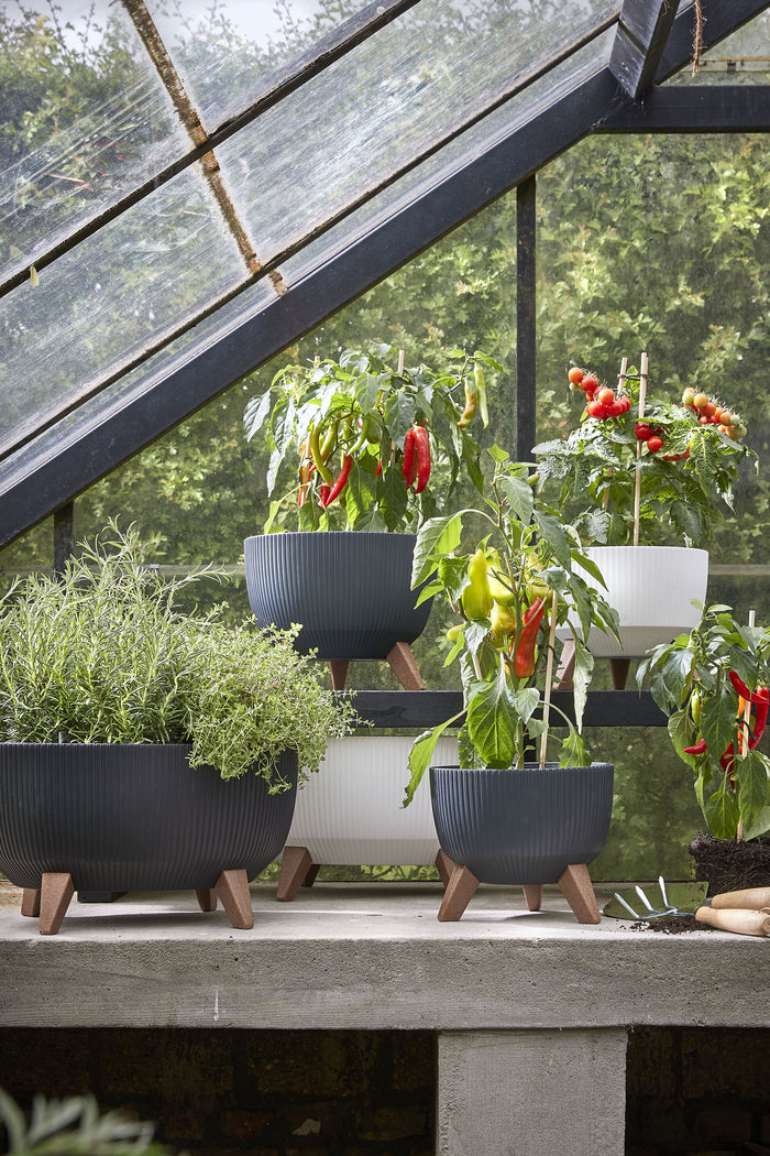 91d43652-e810-46ca-be03-c9f14616811e-afbeelding8.jpg (9188107) 