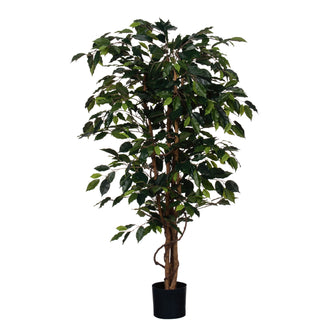 Mica Decorations Ficus Kunstplant - H150 x Ø85 cm - Groen