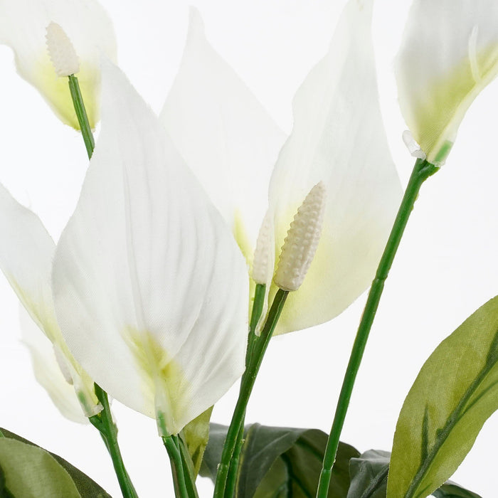 Mica Decorations Spathiphyllum Kunstplant - H50 x Ø40 cm - Wit