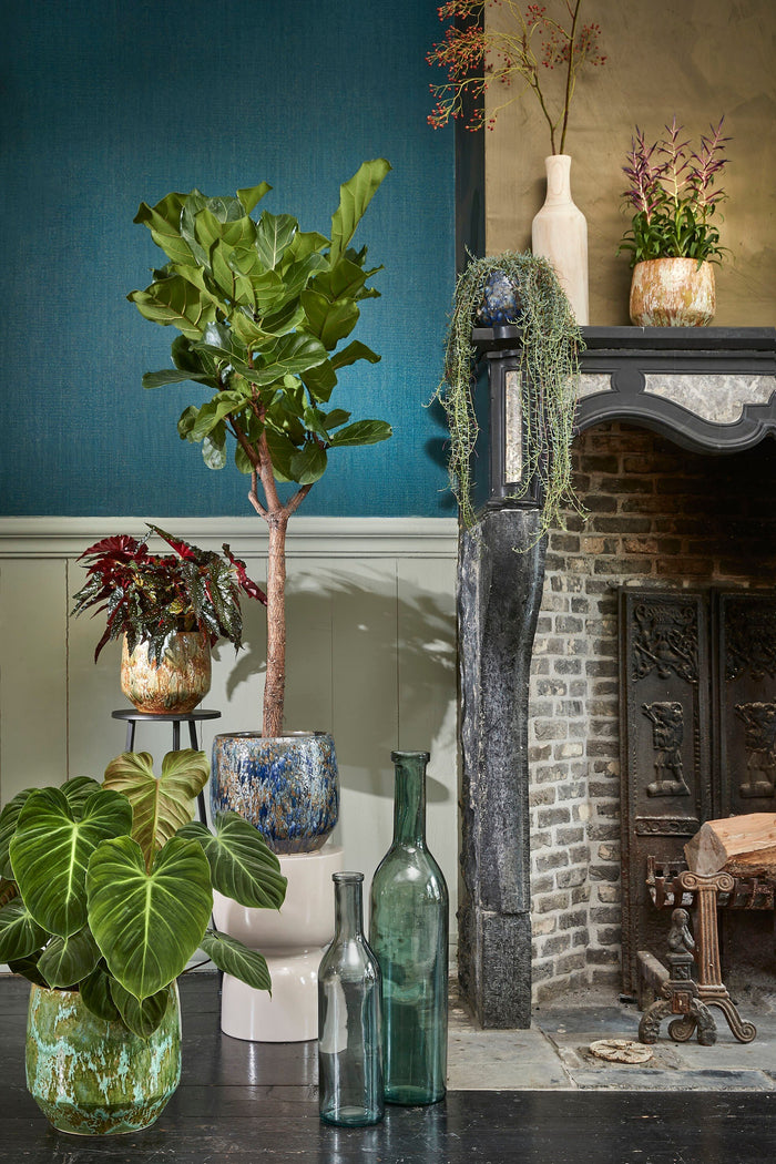 Mica Decorations Rioja Glazen Fles - H50 x Ø15 cm - Donkergrijs