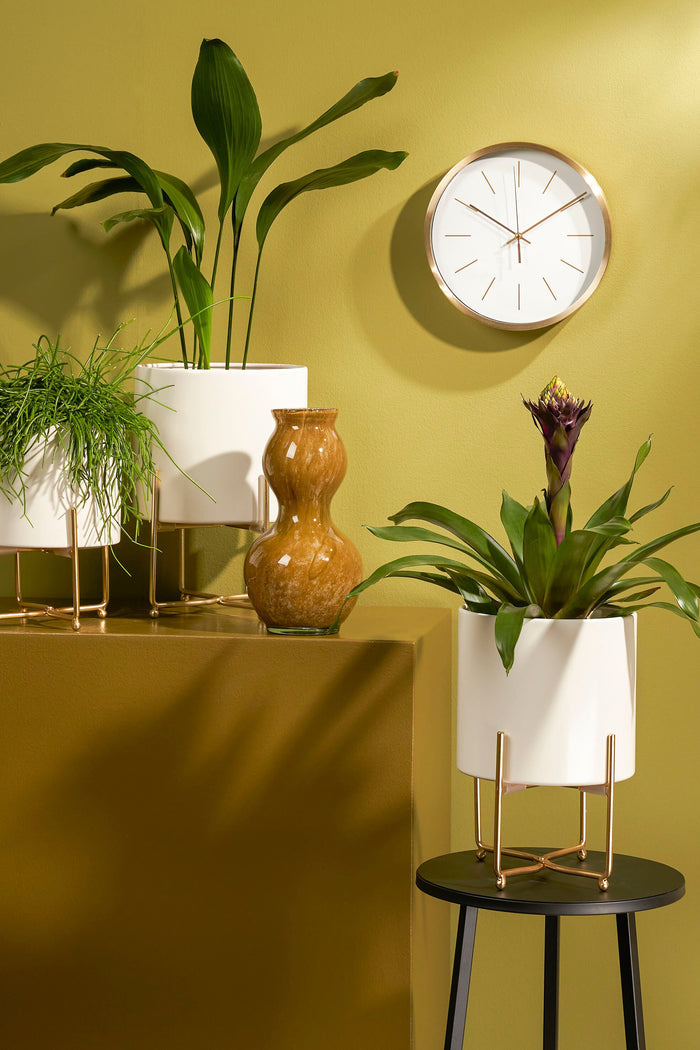 6c3c296e-8771-40fa-9c34-bc27756c56a7-sfeerbeeld.jpg (9190000) 