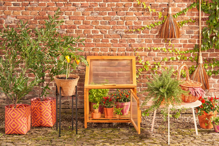 Mica Decorations Caminia Kweekkas S - L60 x B42 x H77 cm- Mahoniehout