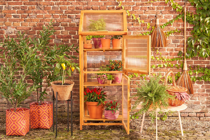 Mica Decorations Caminia Kweekkas L - L60 x B42 x H152 cm- Mahoniehout