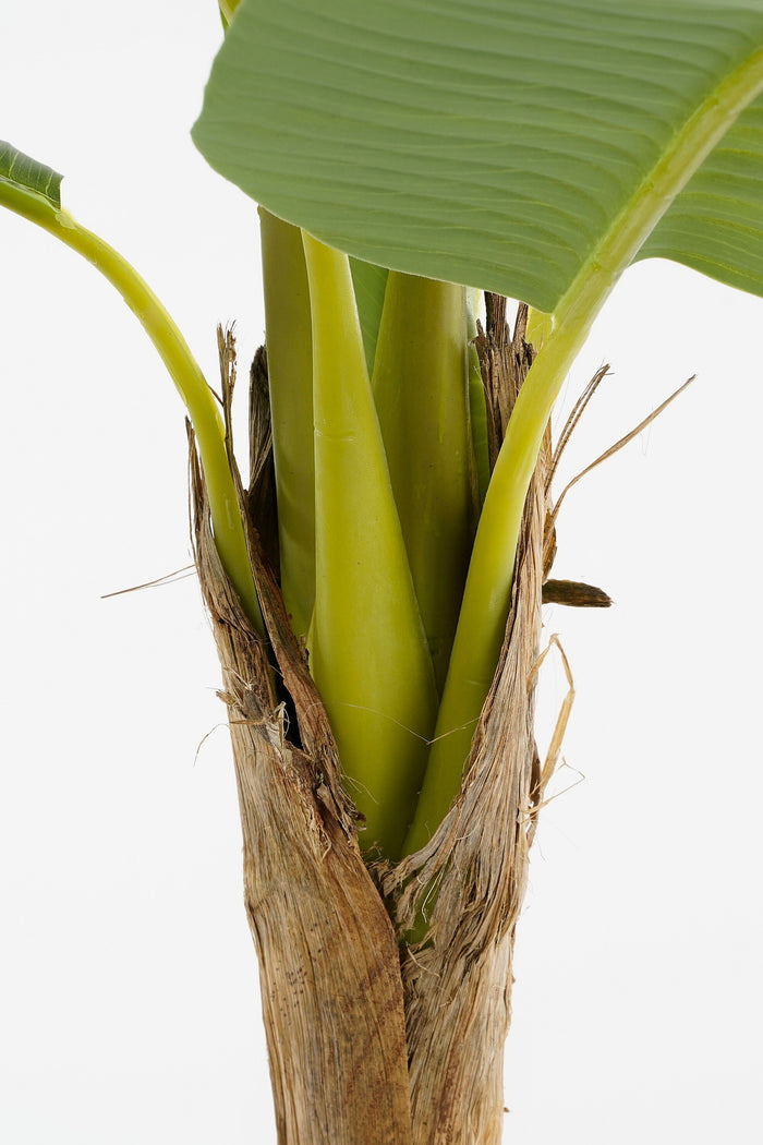 Mica Decorations Kunstplant Bananenboom in Pot - H155 x Ø90 cm - Groen