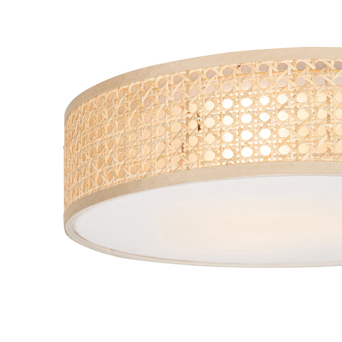 d586ea6f-1701-48e4-ae90-7636a0e552f3-afbeelding8.jpg (9195531) 