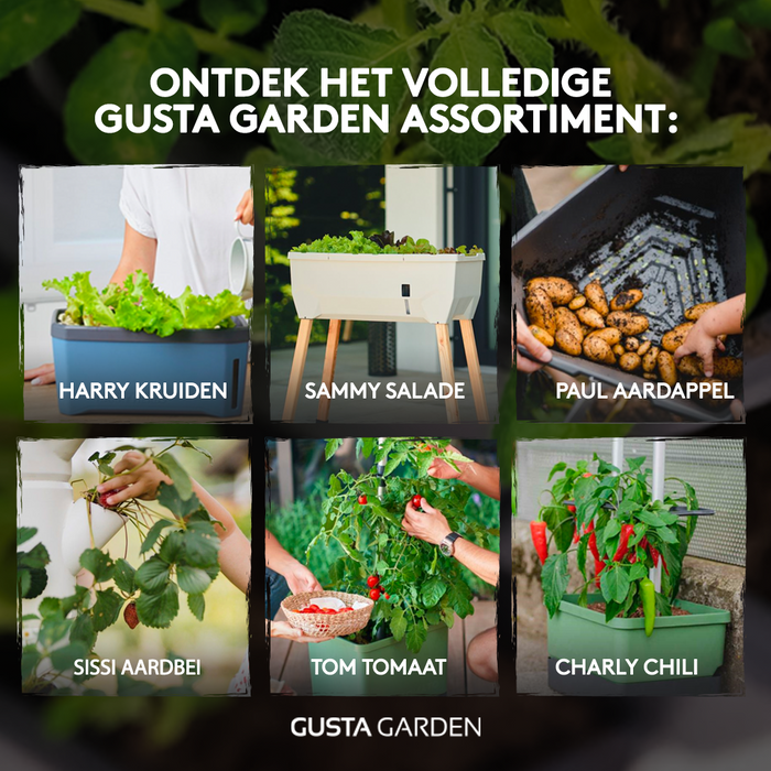 Gusta Garden - Sissi Strawberry - Aardbeienplanttoren - 10 niveaus