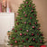 Triumph Tree Forest Frosted Kunstkerstboom - H120 x Ø99 cm - Groen