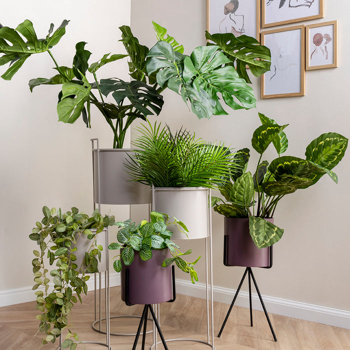 present time - Plant pot set Essence straight iron black