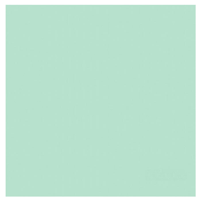 DDDDD theedoek Logo - 60x65 cm - pastel green - 6 stuks