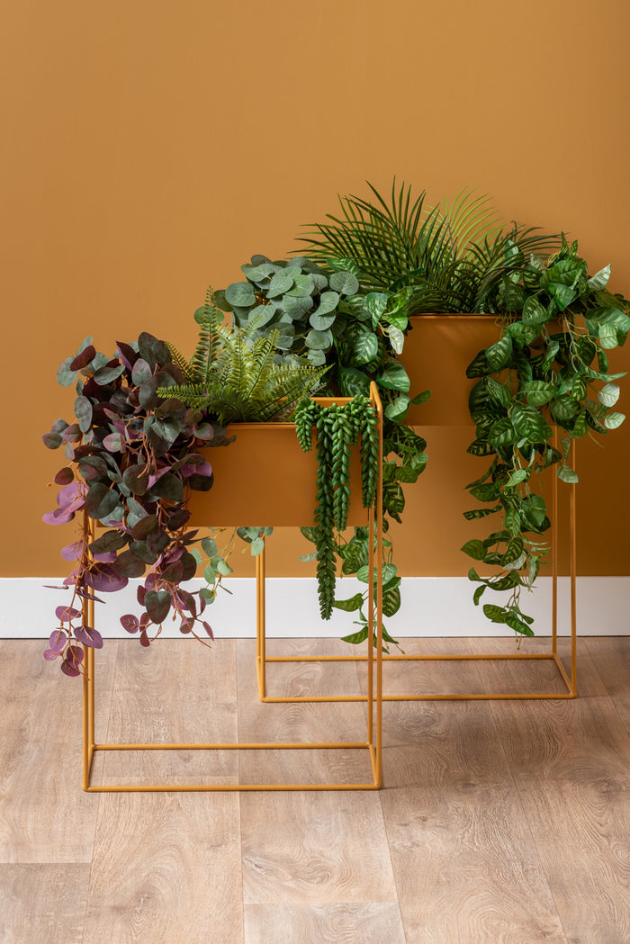 present time - Plant Pot Set Essence Straight