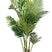 House Nordic Arecapalm Kunstplant H175 cm