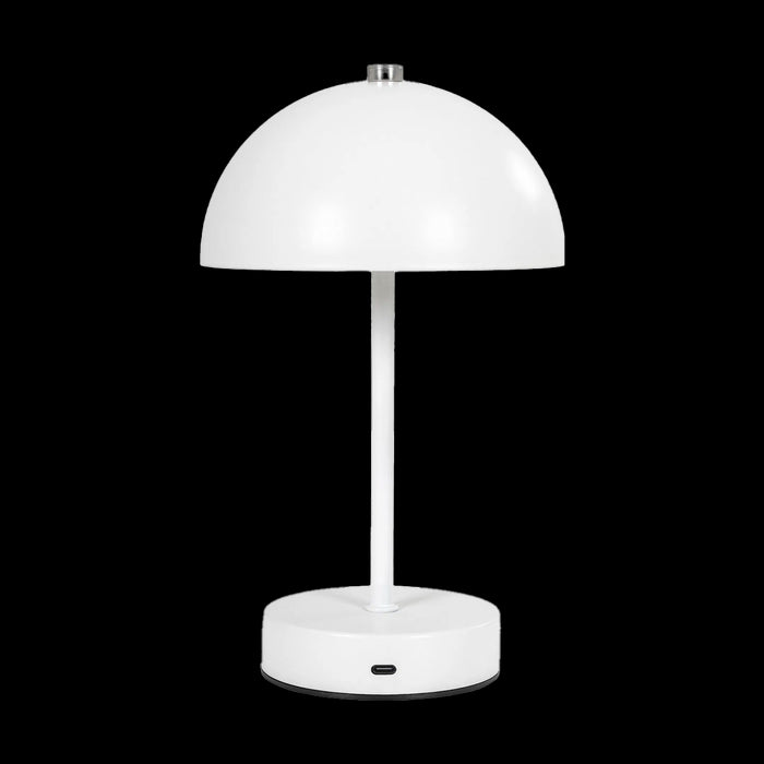 2891cfa1-aed8-4bd3-a075-d627dd1bc981-afbeelding3.jpg (9260689) 