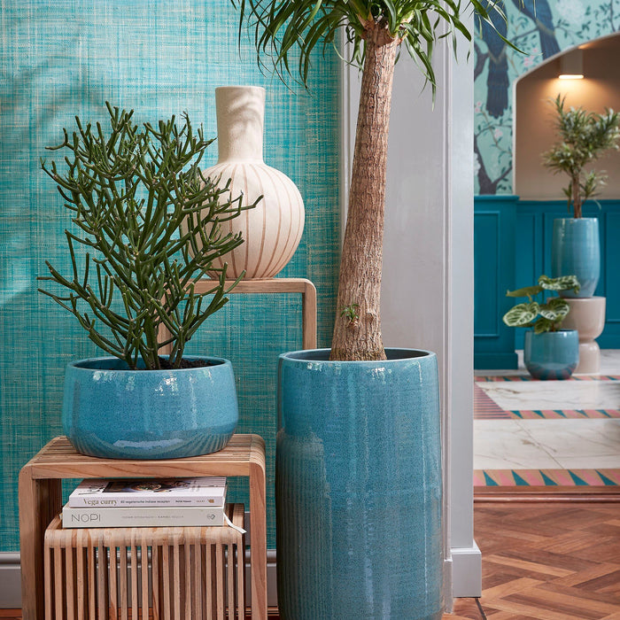 becc0da9-d2dd-4b4c-a569-18456644be17-afbeelding7.jpg (9334597) 