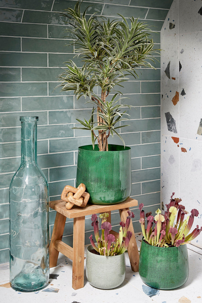 7b1f784a-98f4-4023-94b0-2a0152b11624-afbeelding7.jpg (9334599) 