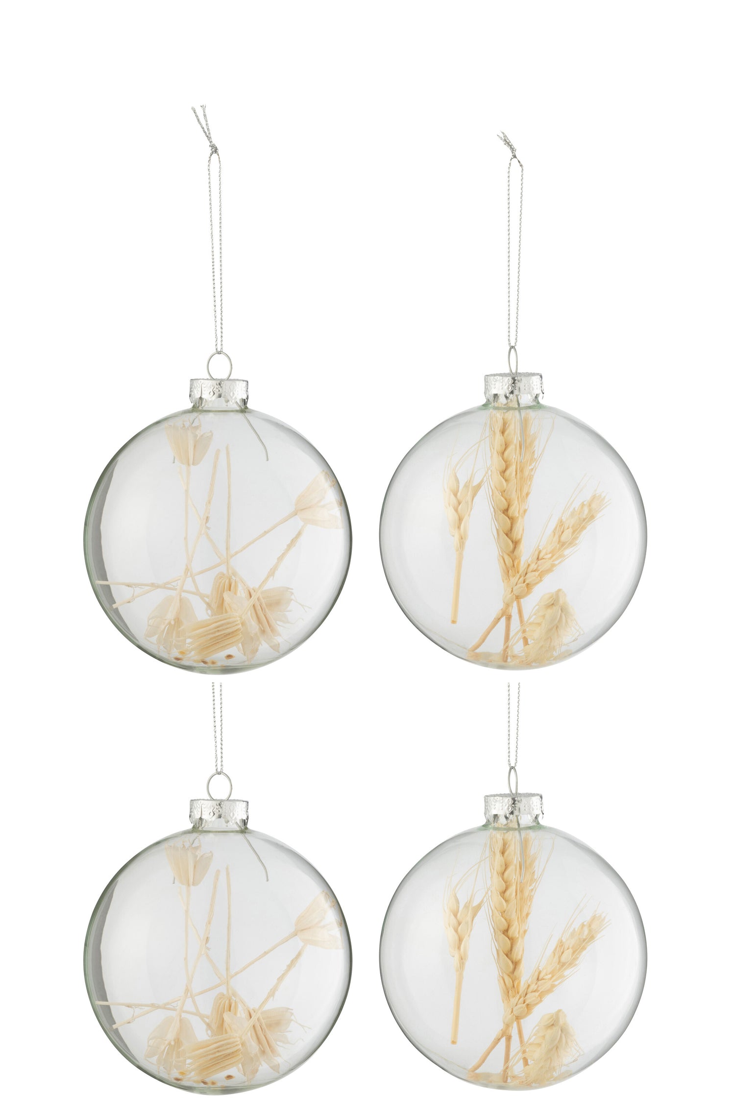 J-Line kerstbal Gedroogde Takjes - glas - transparant|beige - large - doos van 4