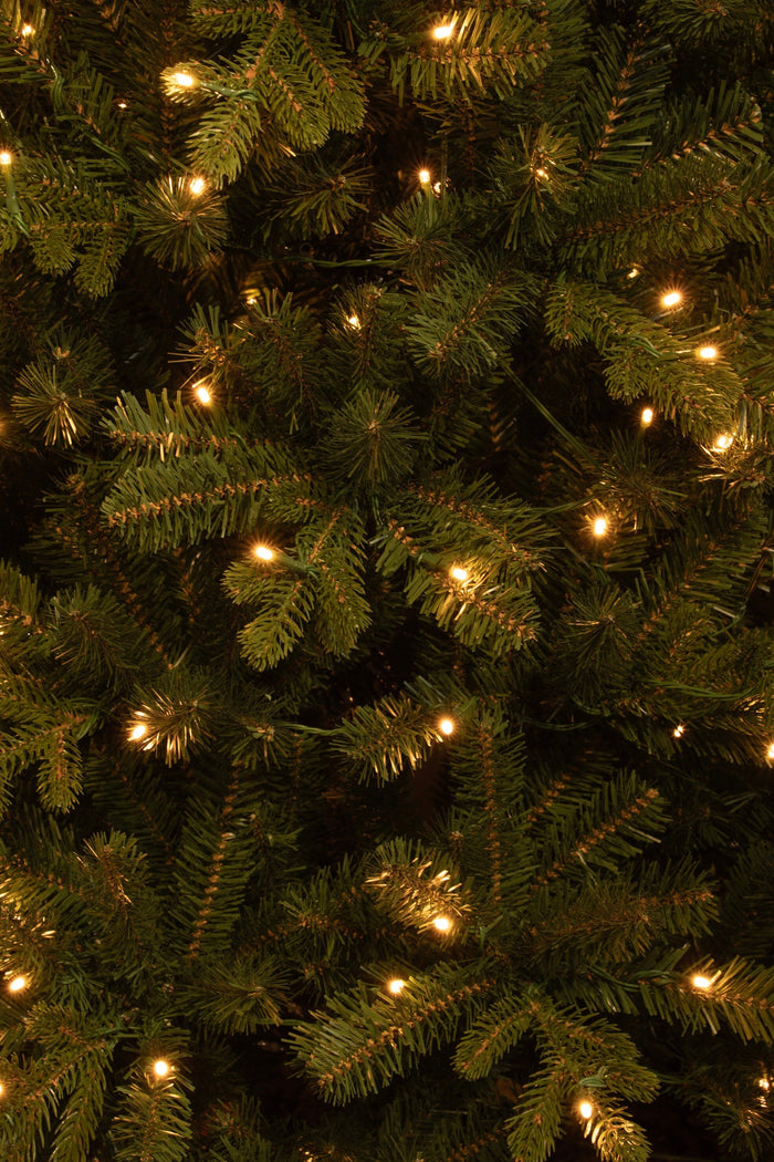Black Box Trees Harma Kunstkerstboom met Verlichting - H185 x Ø63 cm