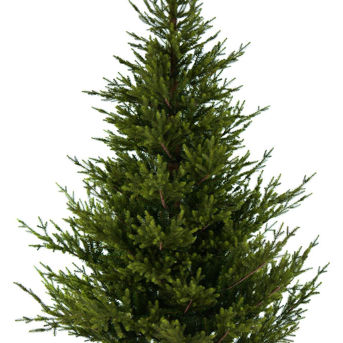Sami Mountain Spruce Wood kunstkerstboom - 243 cm - Donkergroen - Ø155