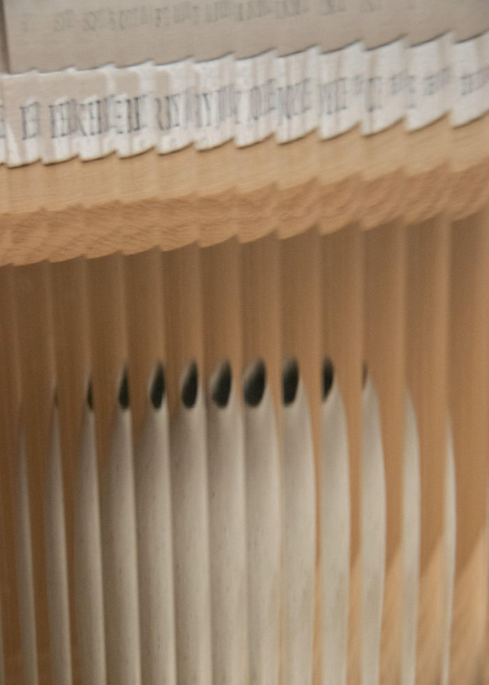 d5722003-0157-4699-aae4-4cf2f42f8b5e-afbeelding7.jpg (9588318) 