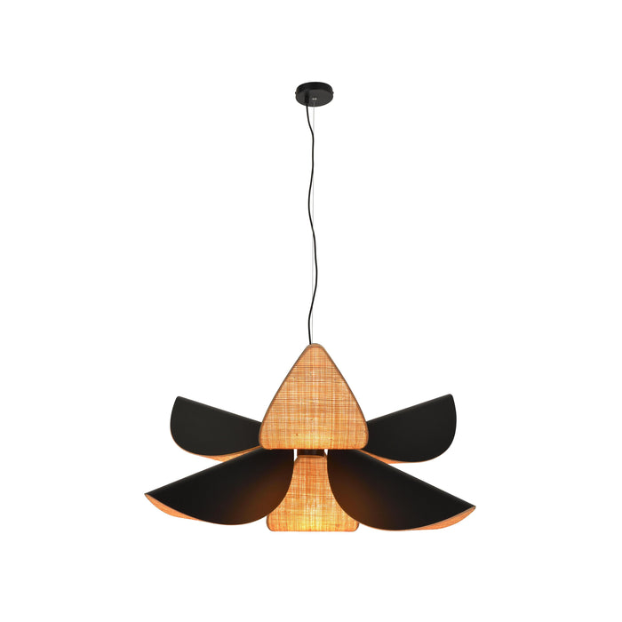 55088e17-98cb-44ca-9eca-fa634cd691b9-afbeelding8.jpg (9597271) 