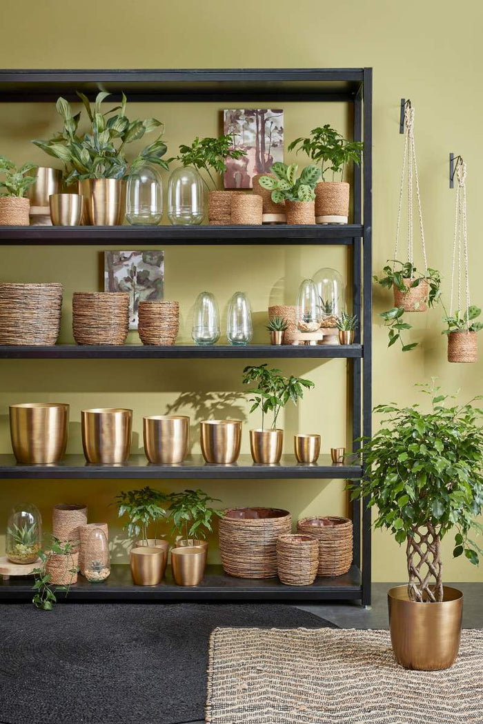 2834c6f5-5e36-4488-950e-a8d89b028d93-afbeelding4.jpg (9618301) 