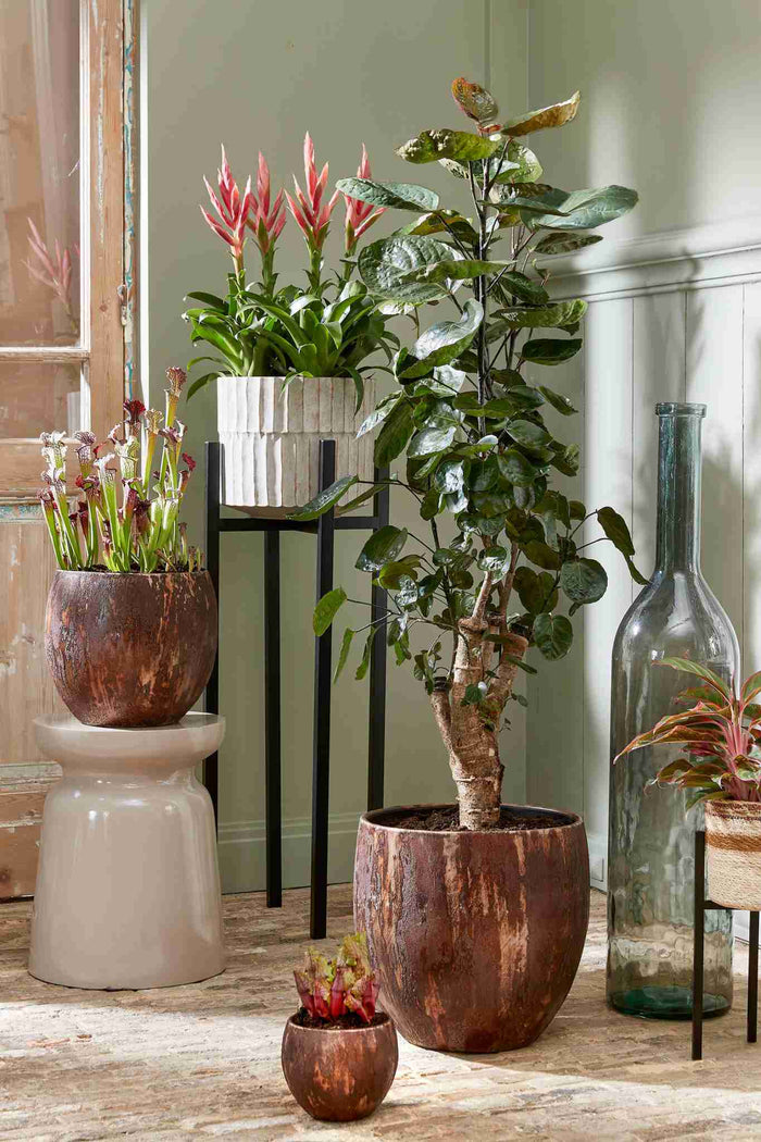 e7763333-d78d-4277-a391-d5ad83bf5cc9-afbeelding5.jpg (9660313) 