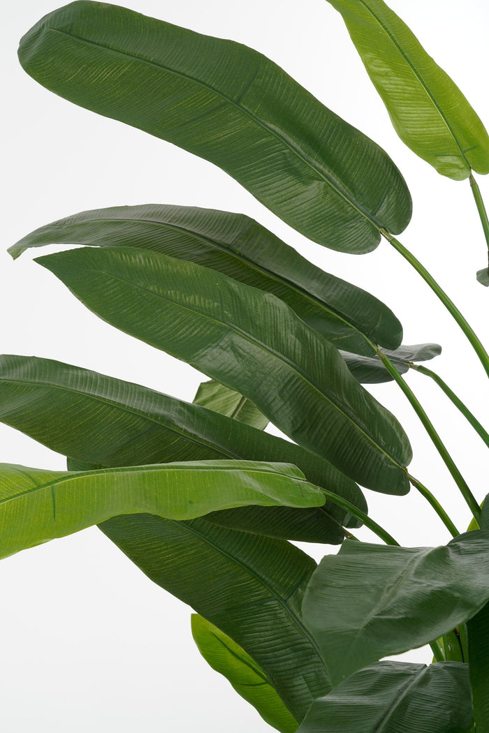 Mica Decorations Heliconia Kunstplant - H175 x Ø140 cm - Groen