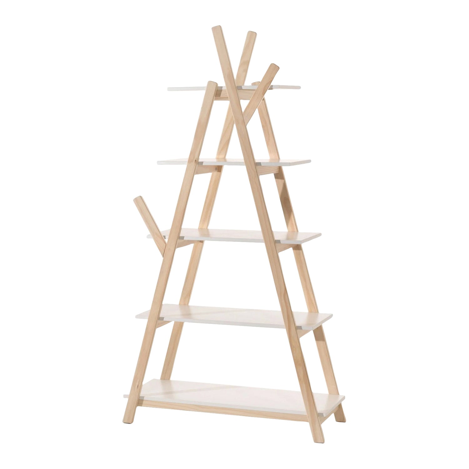 277464-00-202412050421-C.jpg (9687438) 