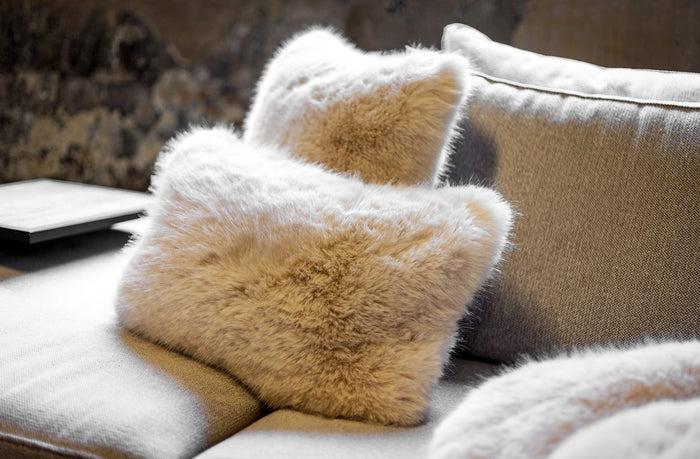 55407bee-98b2-4606-9161-b95569f412bc-afbeelding5.jpg (9688452) 