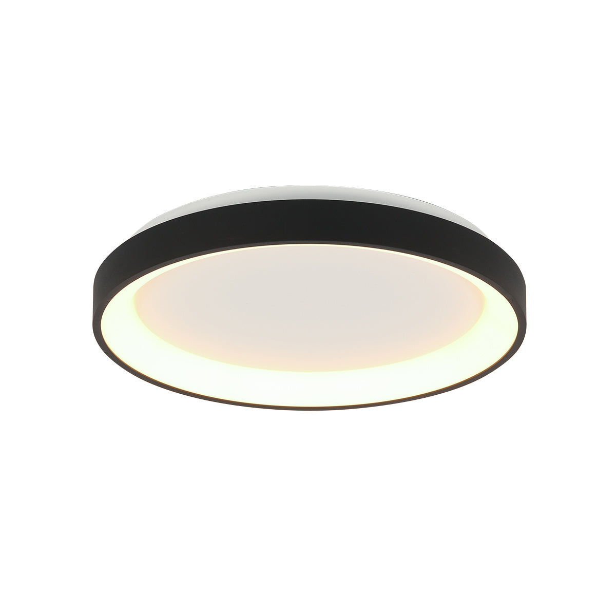 Steinhauer Plafondlamp Ringlede Zwart Ø 28cm Led 20Watt Dimbaar 3690ZW