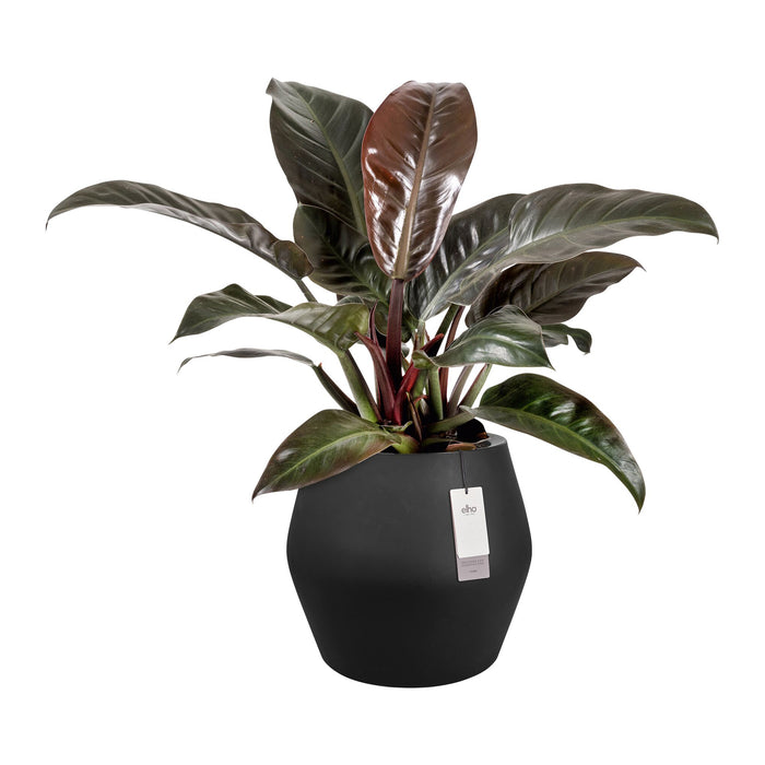 327640-x02-202412190540-C.jpg (9713875) 