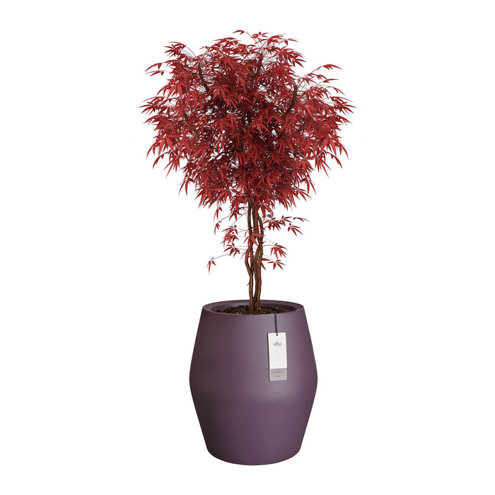 327644-x03-202412190542-C.jpg (9713896) 