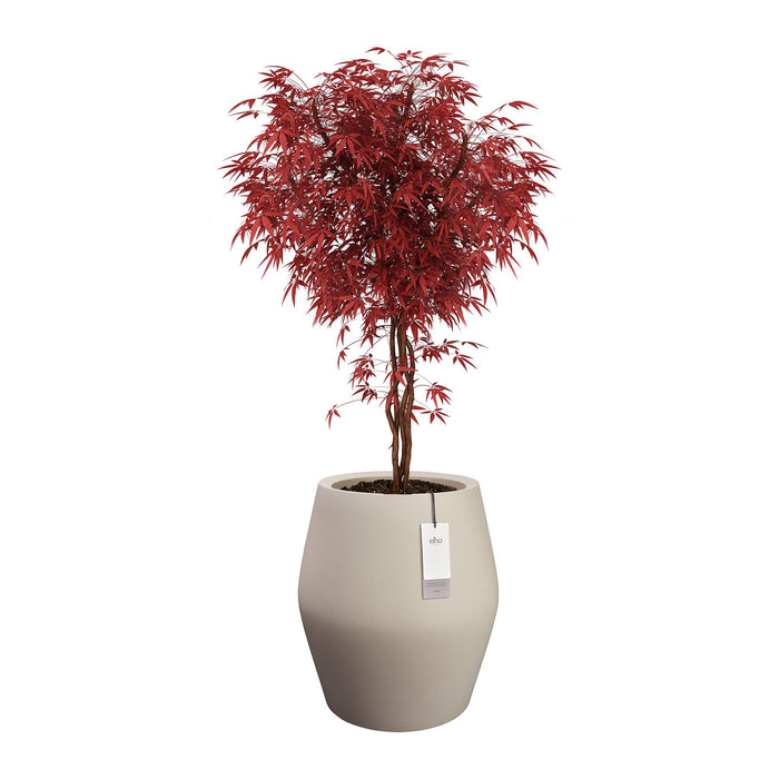 327645-x03-202412190541-C.jpg (9713902) 