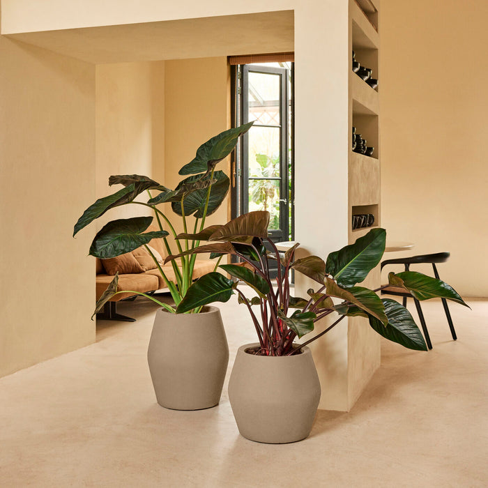 327645-x05-202412190541-A.jpg (9713905) 