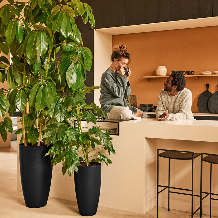 327648-x01-202412190540-A.jpg (9713910) 