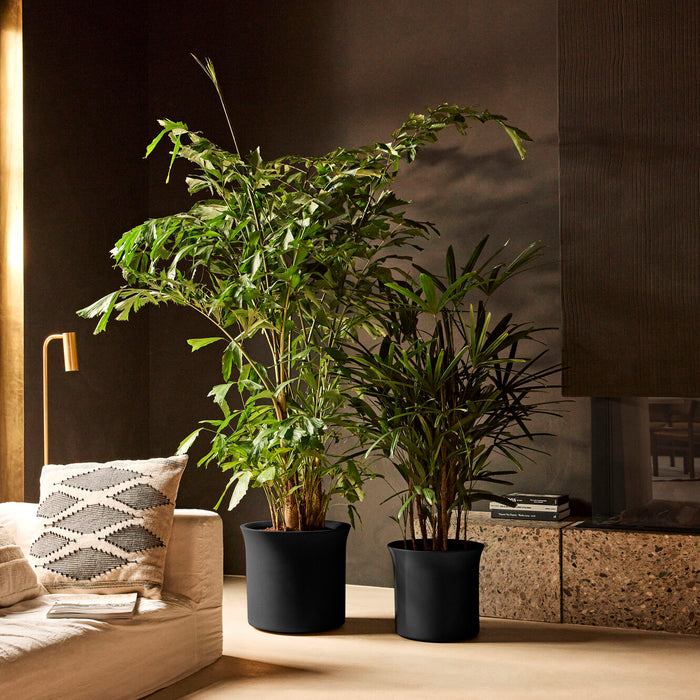 327653-x01-202412190541-A.jpg (9713925) 