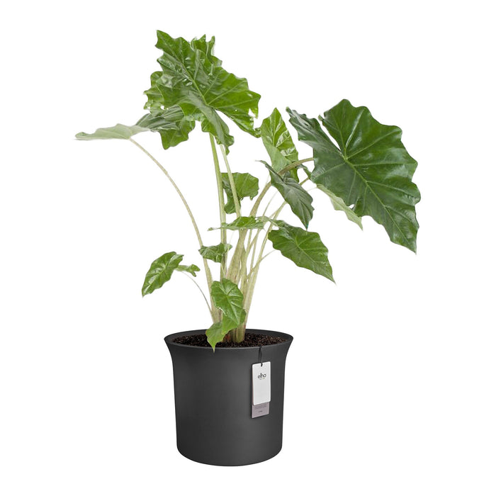 327653-x02-202412190541-C.jpg (9713926) 