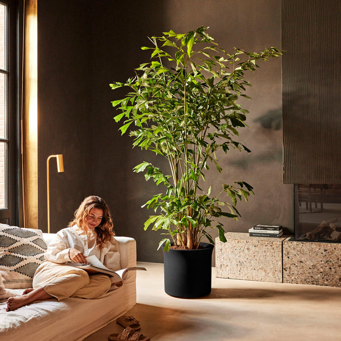 327653-x04-202412190541-A.jpg (9713928) 