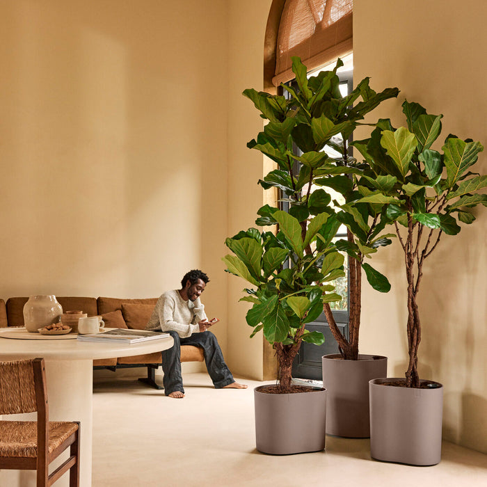 327667-x03-202412190541-A.jpg (9713985) 