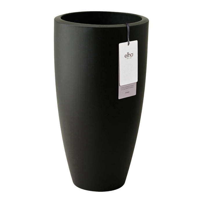 327646-x00-202412192121-C.jpg (9720813) 