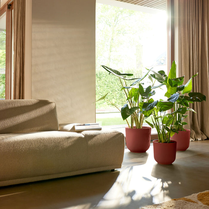 Elho Jazz Rond 30 - Rood - L 30 x B  x H 27 cm - Binnen - 100% gerecycled