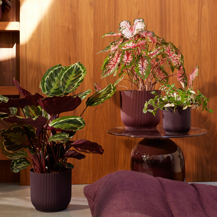 327576-x01-202412260522-A.jpg (9746908) 