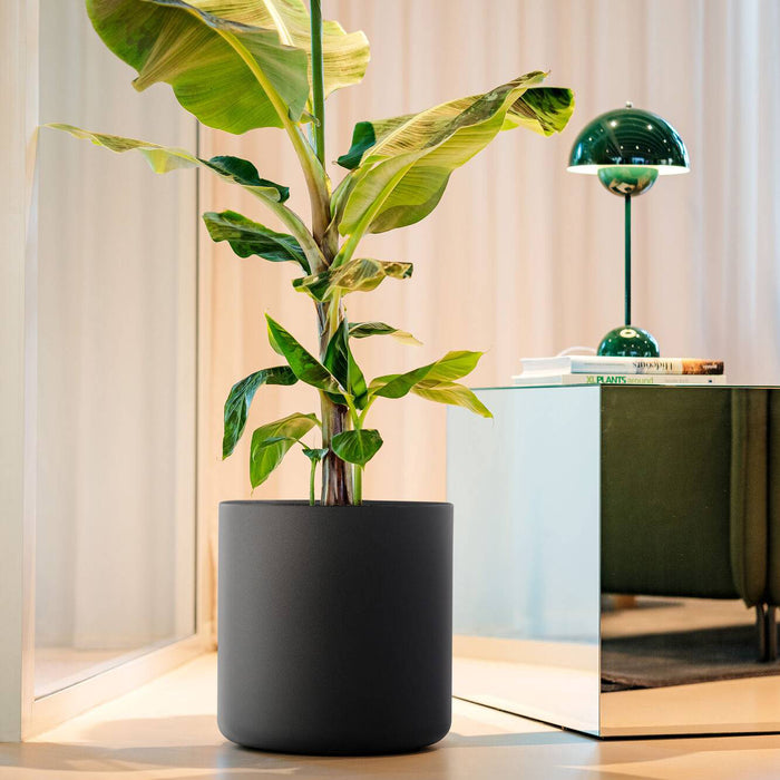 Elho Pure Cilinder Wheels 40 - Zwart - L 40 x B  x H 40 cm - Balkon, Binnen en Buiten - 100% gerecycled