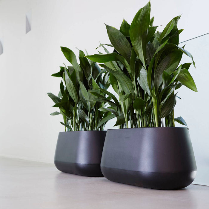 Elho Pure Cone Long Wheels 75 - Zwart - L 74 x B  x H 36 cm - Binnen en Buiten - 100% gerecycled
