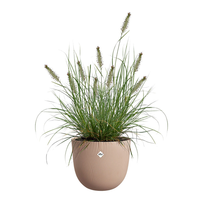 327673-x03-202412311122-C.jpg (9756182) 