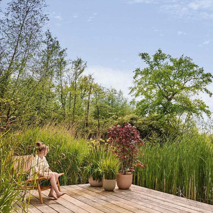 327674-x01-202412311121-A.jpg (9756189) 