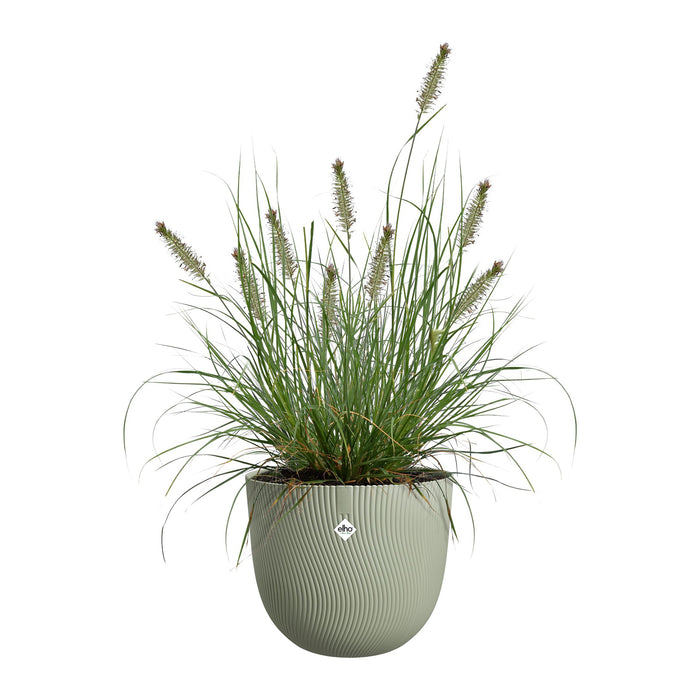 327674-x03-202412311121-C.jpg (9756192) 