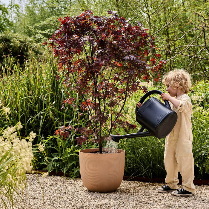 327676-x01-202412311122-A.jpg (9756209) 