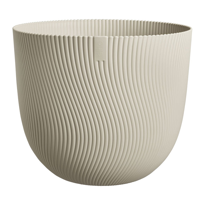 327678-x04-202412311122-C.jpg (9756232) 