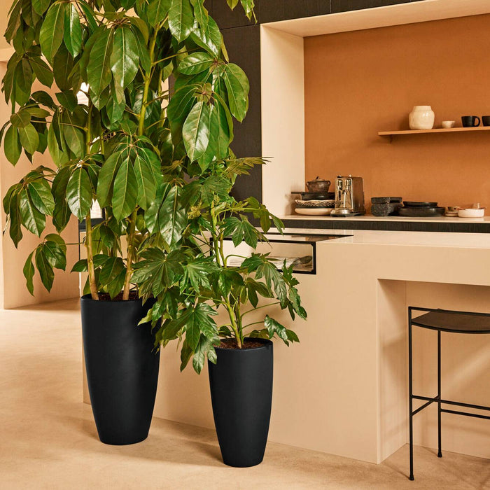 Elho June Round High 30 - Zwart - L 30 x B  x H 53 cm - Binnen en Buiten - 100% gerecycled