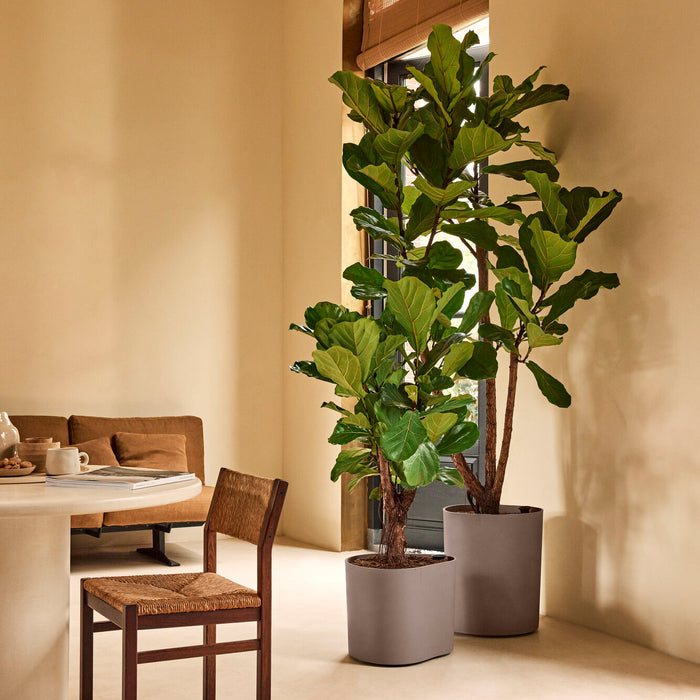 327665-x01-202412190541-A.jpg (9764965) 